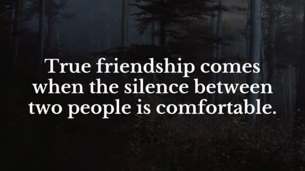 quote True friendship comes when the silence between two people is comfortable
