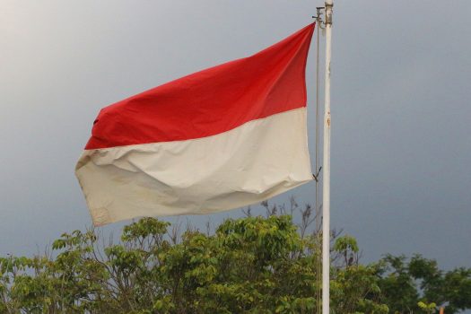 Bendera Indonesia sedang berkibar dengan latar belakang pepohonan